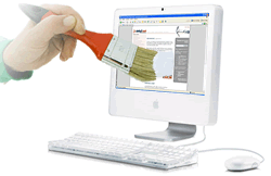 creazione siti web, siti web genova