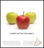 stampa depliant e brochure